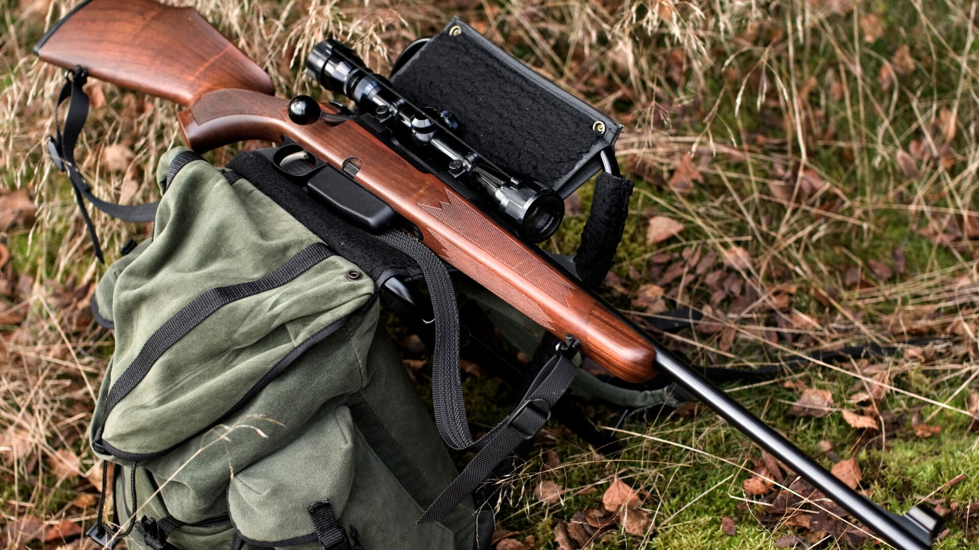 Trophy hunting and outfitting services in South Africa