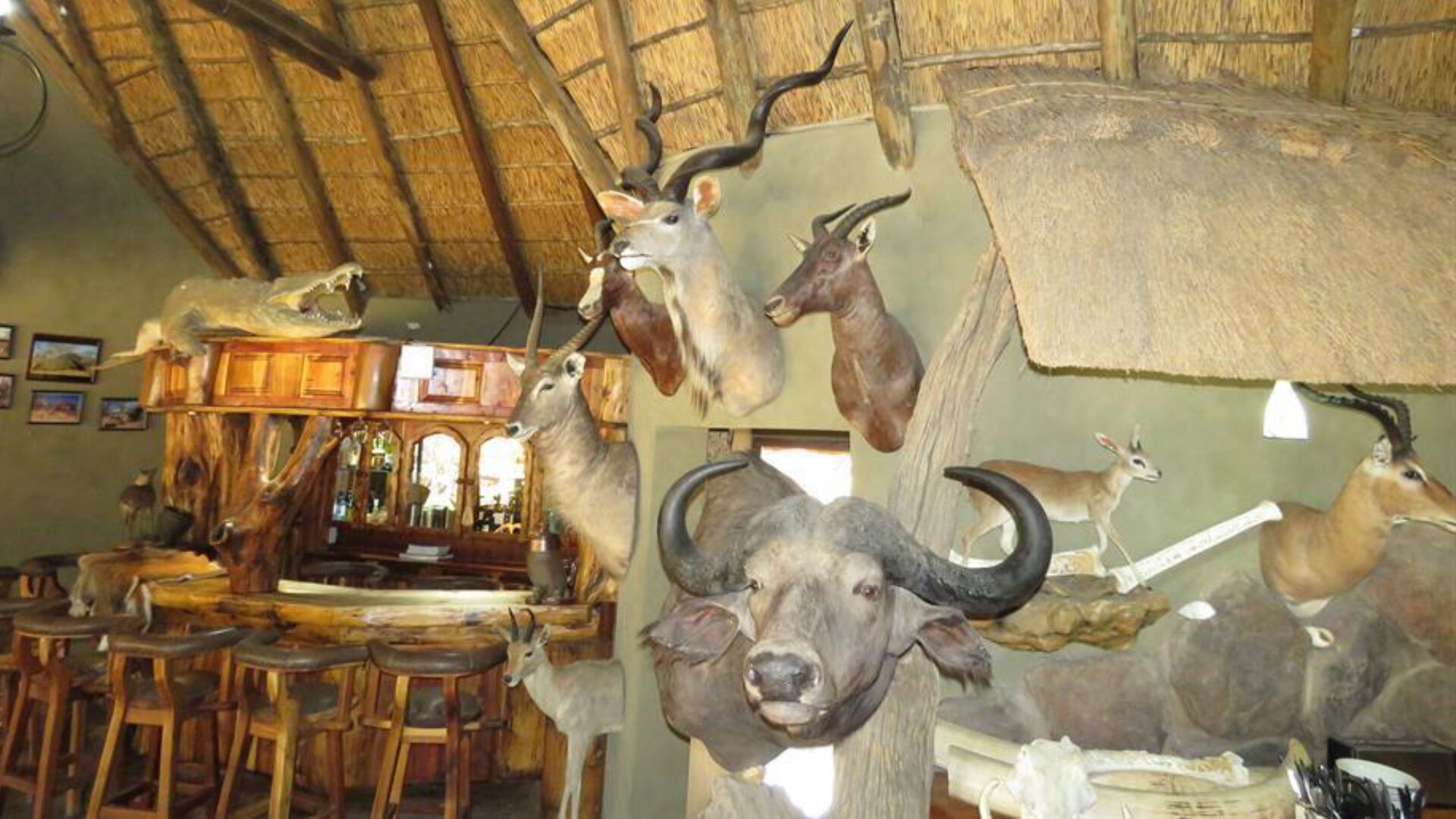 Family-friendly safari services in South Africa