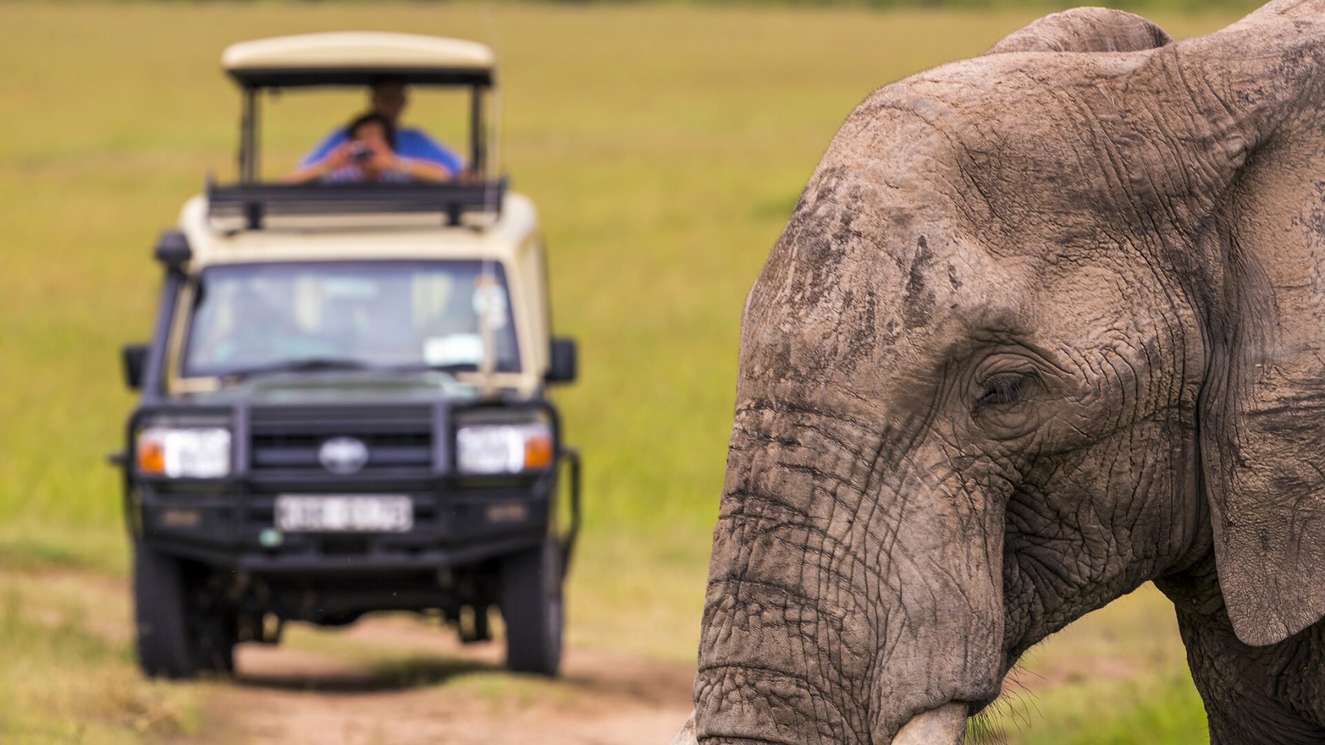 Family-friendly safari services in South Africa