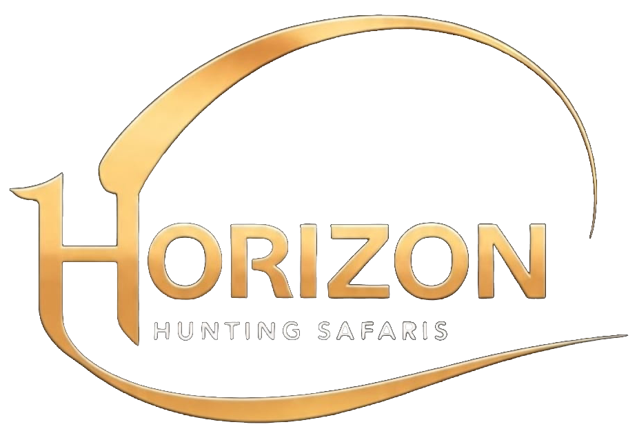 Professional hunting services in South Africa for plains game and big game